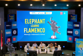 Book Talk Elephant Learns Flamenco